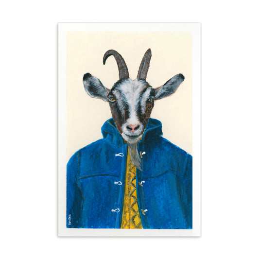 4x6 inch Mountain Goat in a Blue Jacket - Animal Postcard Print